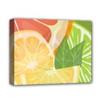 Citrus Fruit Healthy Vitamin Deluxe Canvas 14  x 11  (Stretched)