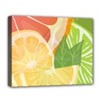 Citrus Fruit Healthy Vitamin Deluxe Canvas 20  x 16  (Stretched)