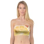 Citrus Fruit Healthy Vitamin Bandeau Top