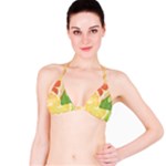 Citrus Fruit Healthy Vitamin Classic Bikini Top