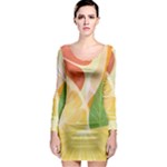 Citrus Fruit Healthy Vitamin Long Sleeve Bodycon Dress