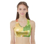 Citrus Fruit Healthy Vitamin Sports Bra with Border