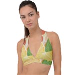 Citrus Fruit Healthy Vitamin Halter Plunge Bikini Top