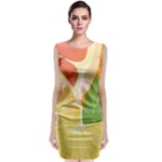 Citrus Fruit Healthy Vitamin Classic Sleeveless Midi Dress