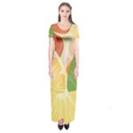 Citrus Fruit Healthy Vitamin Short Sleeve Maxi Dress