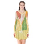 Citrus Fruit Healthy Vitamin Long Sleeve V-neck Flare Dress