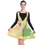 Citrus Fruit Healthy Vitamin Plunge Pinafore Dress