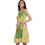 Citrus Fruit Healthy Vitamin Sleeveless V-Neck Skater Dress with Pockets