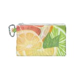 Citrus Fruit Healthy Vitamin Canvas Cosmetic Bag (Small)