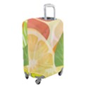 Luggage Cover (Small) 