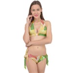 Citrus Fruit Healthy Vitamin Tie It Up Bikini Set