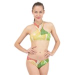 Citrus Fruit Healthy Vitamin High Neck Bikini Set