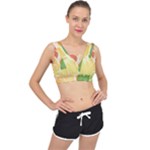 Citrus Fruit Healthy Vitamin V-Back Sports Bra