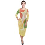 Citrus Fruit Healthy Vitamin Quarter Sleeve Midi Velour Bodycon Dress