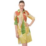 Citrus Fruit Healthy Vitamin Long Sleeve Mini Shirt Dress