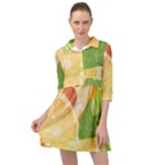 Citrus Fruit Healthy Vitamin Mini Skater Shirt Dress