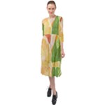 Citrus Fruit Healthy Vitamin Ruffle End Midi Chiffon Dress