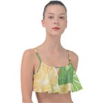 Citrus Fruit Healthy Vitamin Frill Bikini Top