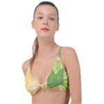 Citrus Fruit Healthy Vitamin Knot Up Bikini Top