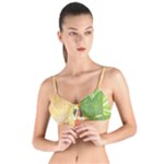 Citrus Fruit Healthy Vitamin Tie Up Cut Bikini Top