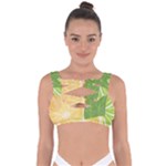 Citrus Fruit Healthy Vitamin Bandaged Up Bikini Top