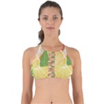 Citrus Fruit Healthy Vitamin Perfectly Cut Out Bikini Top