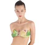 Citrus Fruit Healthy Vitamin Twist Bandeau Bikini Top