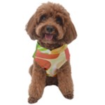 Citrus Fruit Healthy Vitamin Dog Sweater