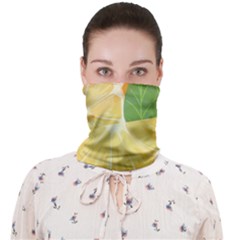 Face Covering Bandana (Adult) 