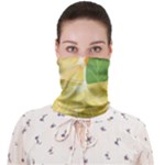 Citrus Fruit Healthy Vitamin Face Covering Bandana (Adult)