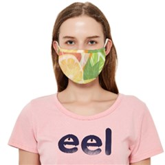 Cloth Face Mask (Adult) 