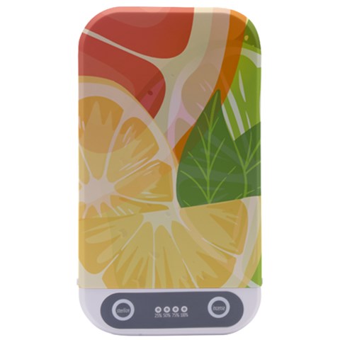 Citrus Fruit Healthy Vitamin Sterilizers from ArtsNow.com