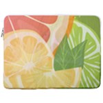 Citrus Fruit Healthy Vitamin 17  Vertical Laptop Sleeve Case With Pocket