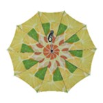 Citrus Fruit Healthy Vitamin Automatic Folding Umbrella with Case (Large)