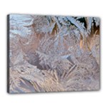 Window Pattern Winter Frost Canvas 20  x 16  (Stretched)