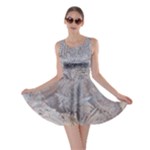 Window Pattern Winter Frost Skater Dress