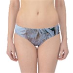 Window Pattern Winter Frost Hipster Bikini Bottoms