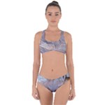 Window Pattern Winter Frost Criss Cross Bikini Set