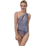 Window Pattern Winter Frost To One Side Swimsuit