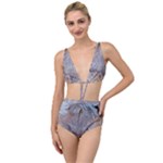 Window Pattern Winter Frost Tied Up Two Piece Swimsuit