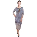 Window Pattern Winter Frost Quarter Sleeve Midi Velour Bodycon Dress