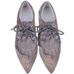 Window Pattern Winter Frost Pointed Oxford Shoes