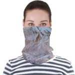 Window Pattern Winter Frost Face Seamless Bandana (Adult)