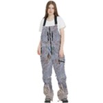 Window Pattern Winter Frost Women s Front Zip Ski And Snowboard Bib Pants