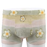 stripes floral designs Men s Boxer Briefs