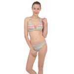 stripes floral designs Classic Banded Bikini Set 