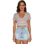 stripes floral designs V-Neck Crop Top