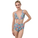 Cute Bird Pattern Tied Up Two Piece Swimsuit