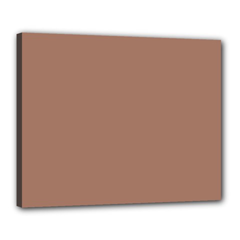 Mocha Mousse Hex Code #a47864 Canvas 20  x 16  (Stretched) from ArtsNow.com