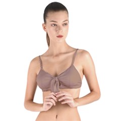 Tie Up Cut Bikini Top 